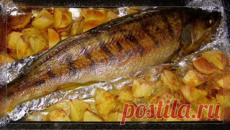 Готовим рыбу.