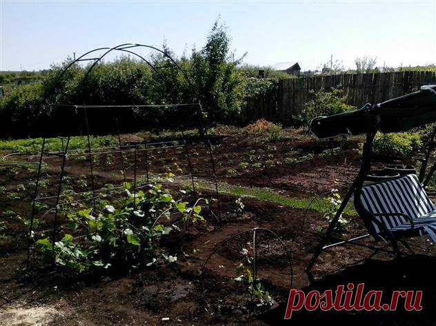 Жадная подруга отдохнула за мой счет и еще наварилась на мне ( 1 фото ) | Краше Всех