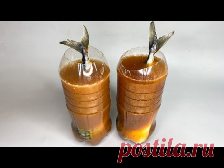 То, что я делаю со СКУМБРИЕЙ перевернёт ваше сознание! Скумбрия как копченая В БУТЫЛКЕ!