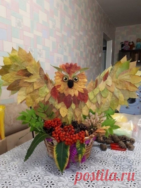 (23) Одноклассники