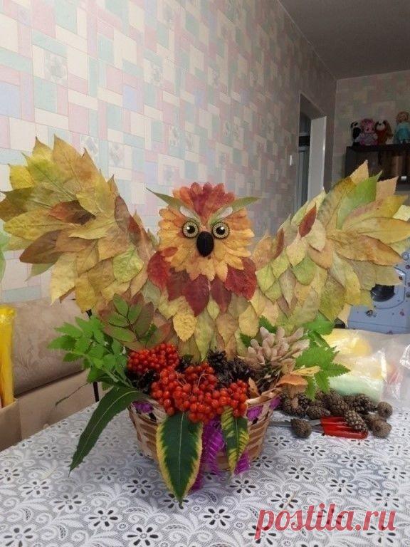 (23) Одноклассники