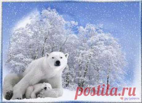 (12) Одноклассники