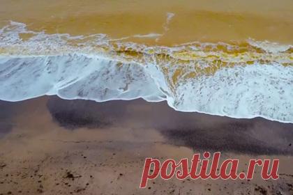 Черное море у берегов Крыма приобрело необычный золотистый цвет. Черное море у западного побережья Крыма приобрело золотистый оттенок. Так, на кадрах видно, как морская вода у побережья Евпатории окрасилась в насыщенный желтый цвет. По словам президента Крымской академии наук, причиной аномалии является песок, который из-за шторма поднялся наверх.