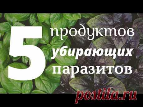 🔥 ТОП 5 Продуктов Убирающих Паразитов Навсегда. Как быстро вывести паразитов