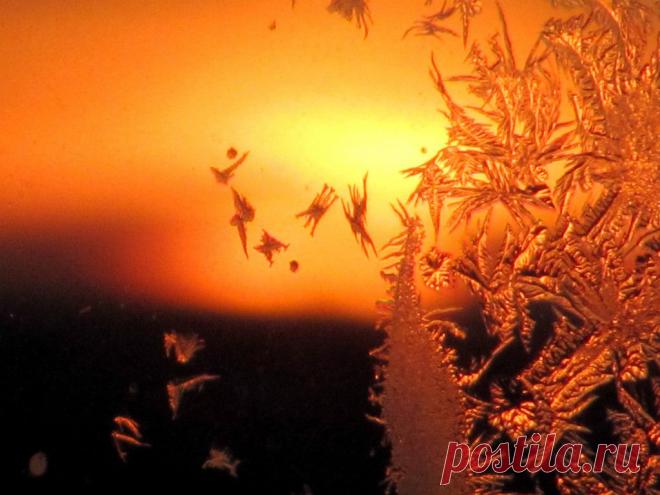 ФОТОМАСТЕРСКАЯ ПРИРОДЫ
Владимир Фефелов