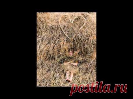 Dziesmiņa, dziedama pusčetros no rīta