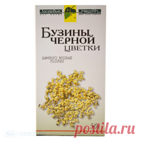 Черная бузина: польза и вред растения, применение в народной медицине и гомеопатии, рецепты применения