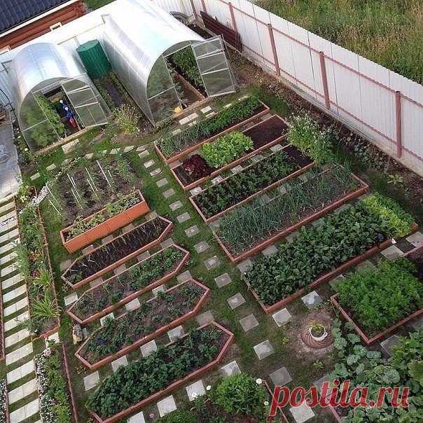 Сколько же садовников там работает с утро до вечера...