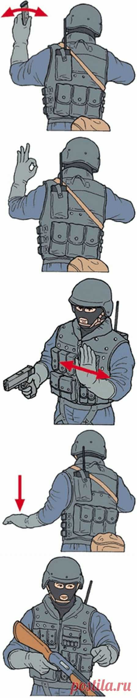 Язык жестов спецназа | Сайга 12.ru