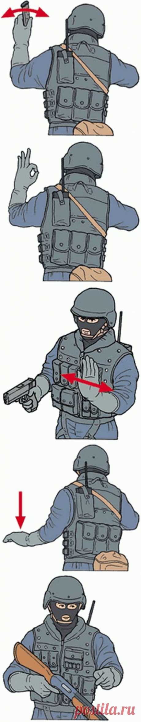 Язык жестов спецназа | Сайга 12.ru