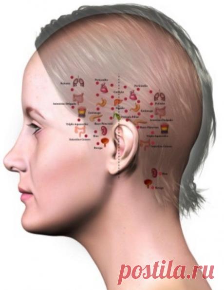 547cbee2e89756ccd881f6562e0ef370.jpg (604×781)