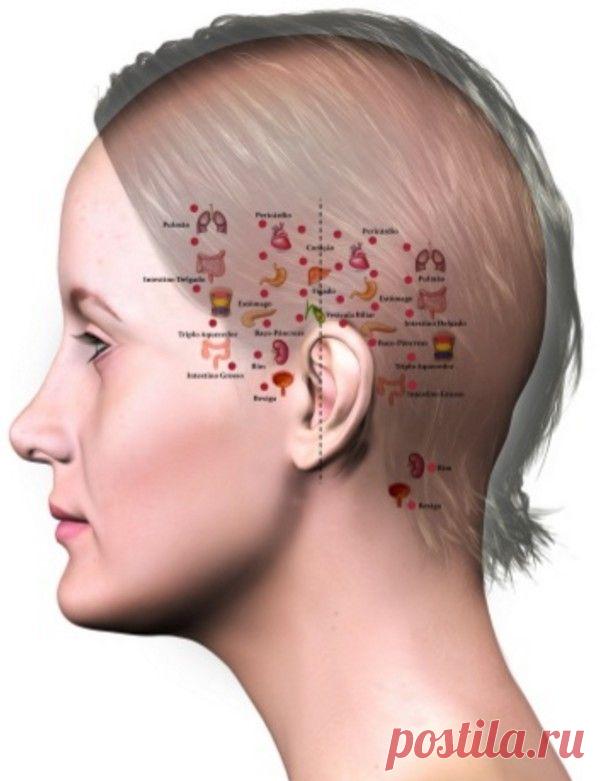 547cbee2e89756ccd881f6562e0ef370.jpg (604×781)