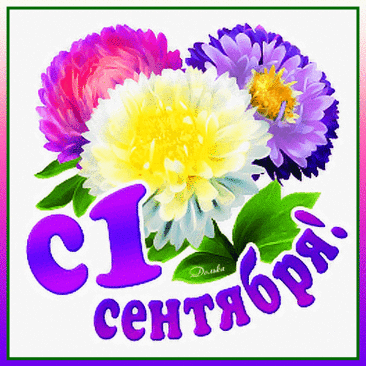 Пусть День знаний радость принесёт,
Пусть он станет местом для открытий,
Будет лёгким весь учебный год,
Полным самых солнечных событий!
