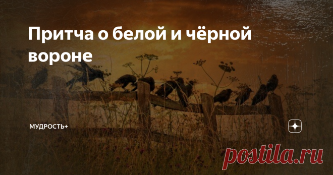Притча о белой и чёрной вороне Всем 