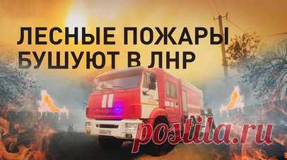 Спасатели борются с мощными лесными пожарами в ЛНР. Сотрудники МЧС России ликвидируют пожары в Луганской Народной Республике. В Станично-Луганском муниципальном округе загорелась сухая растительность, огонь перебросился на лес и село Валуйское. Сгорело более 460 домов, четыре человека погибли, шесть пострадали. На месте работают более 80 специалистов и 17 единиц техники. Силы и средства наращиваются. Читать далее