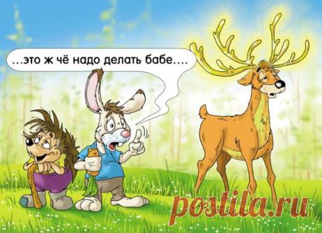 Журнал Мурзилка