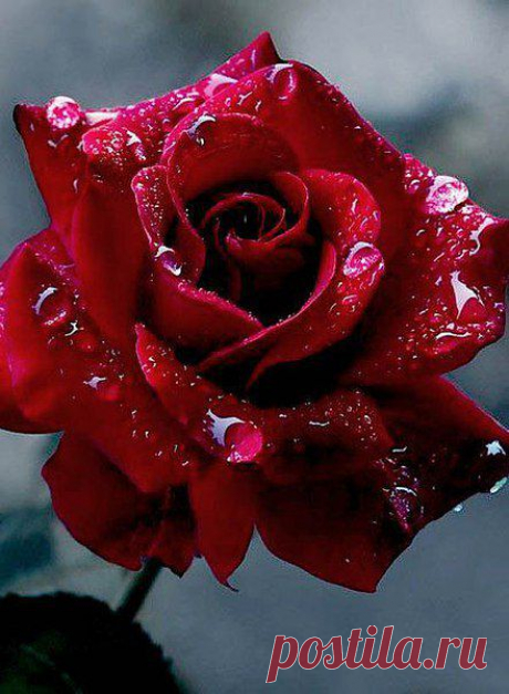 Интересные новости