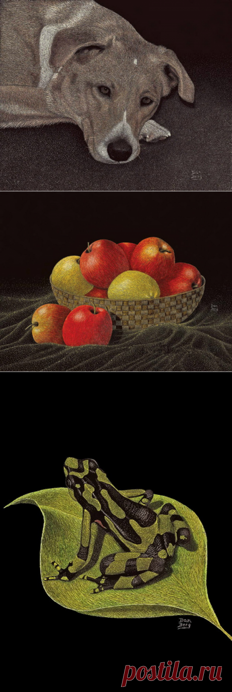 Художник Dan Berg. Работы в технике Scratchboard