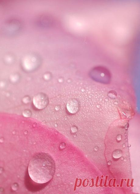 (12) Pinterest • Всемирный каталог идей