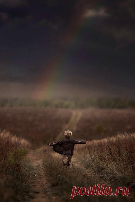 (456) Pinterest