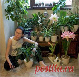 Как правильно расставить  в квартире