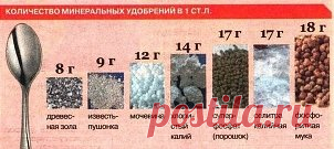 ✿ Садовые меры веса.