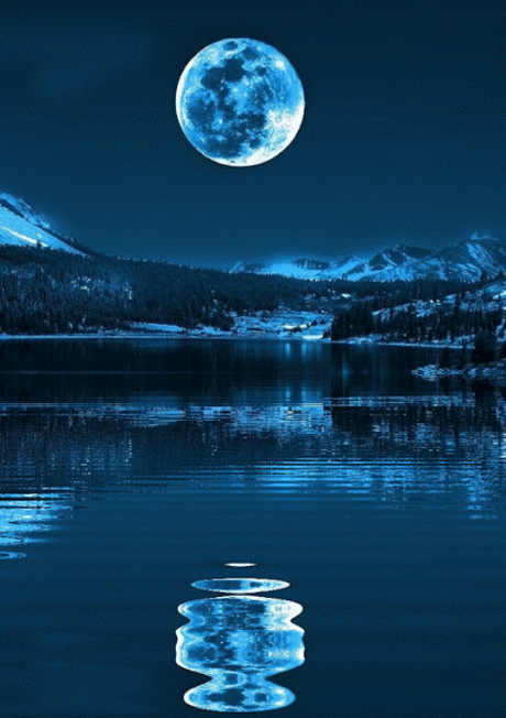 Живые фотографии – Google+