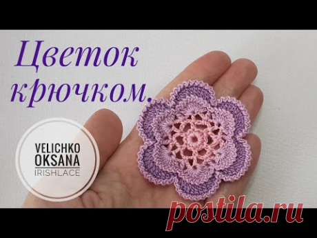 Плоский цветок с рельефной обвязкой крючком.  Мотив для ирландского кружева.
