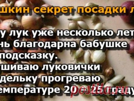 Надави пальцами на эти 2 точки, и боль в спине мгновенно исчезнет! — Копилочка полезных советов