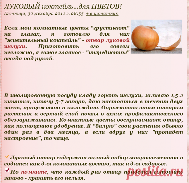 ЛУКОВЫЙ коктейль...для ЦВЕТОВ!