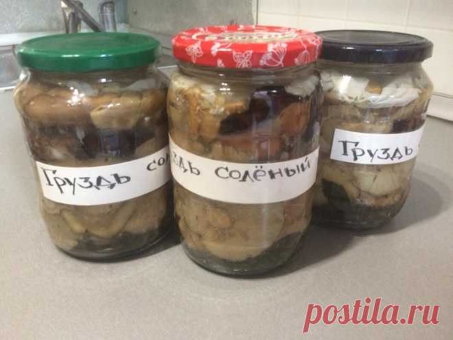 Как хранить соленые грибы без термообработки и герметичной укупорки вне холодильника в условиях стандартной квартиты | Грибное лукошко | Яндекс Дзен