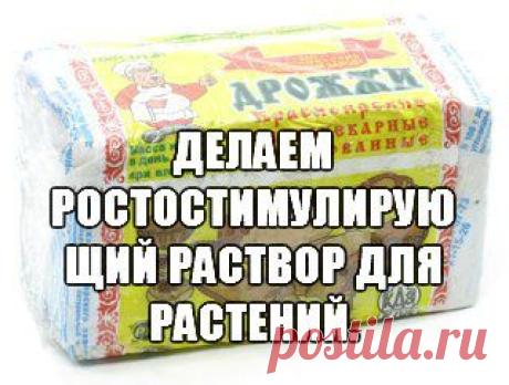 Делаем ростостимулирующий раствор для растений