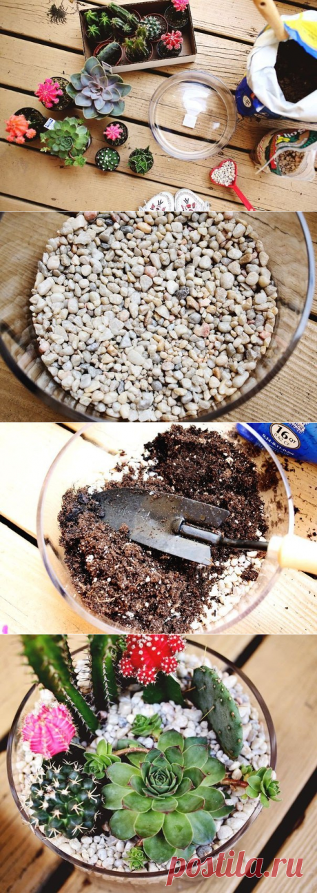 Красивый террариум