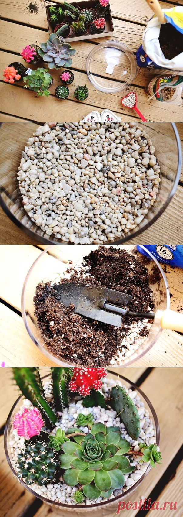 Красивый террариум