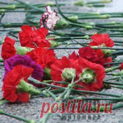 На горі Карачун житомирські військові потрапили під мінометний обстріл - є загиблі » Рупор - громадсько-політичний портал Житомира