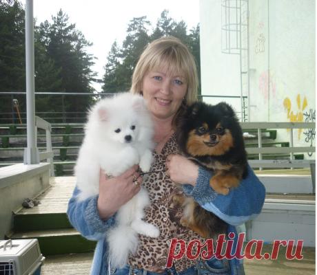 Питомник собак Бонус Стиль