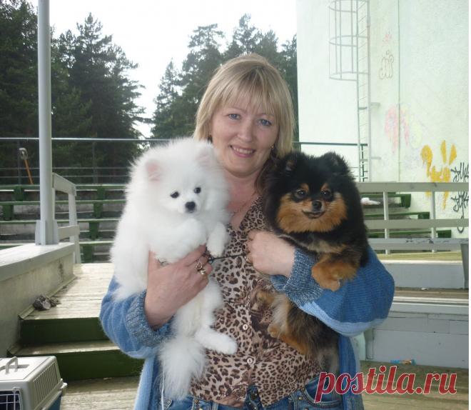 Питомник собак Бонус Стиль