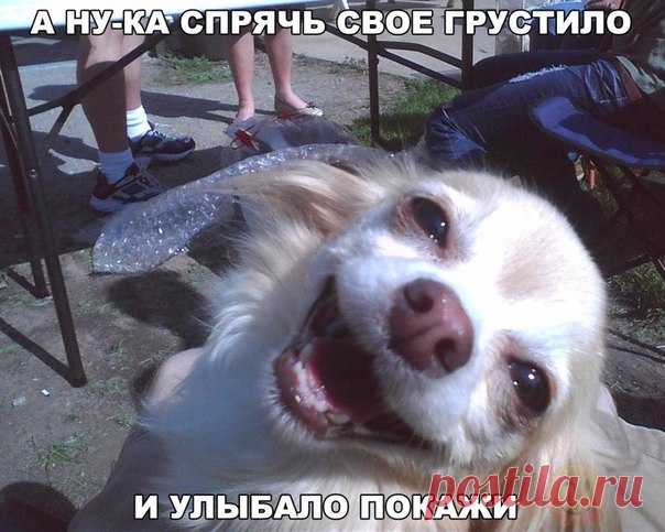 PhNr1iv6dhw.jpg (Изображение JPEG, 604 × 483 пикселов)