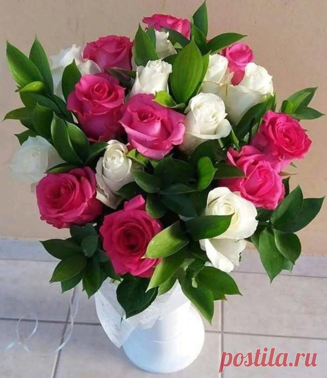 (52) Зина Таирова