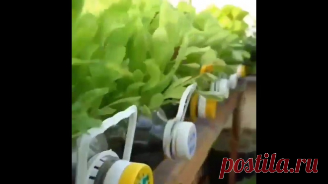 ПОТРЯСАЮЩАЯ ИДЕЯ!