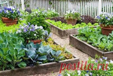 Натуральные органические удобрения для дачного участка, виды и преимущества использования, видео Внесение в почву натуральных органических удобрений поможет улучшить ее структуру и получить хороший урожай. Рекомендации по подбору состава и изготовлению удобрений своими руками.