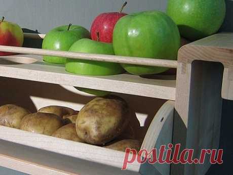 Тонкости хранения продуктов / Домоседы