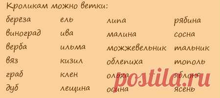 Веточный корм вместо сена