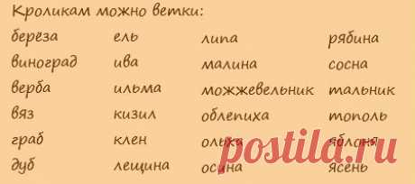 Веточный корм вместо сена