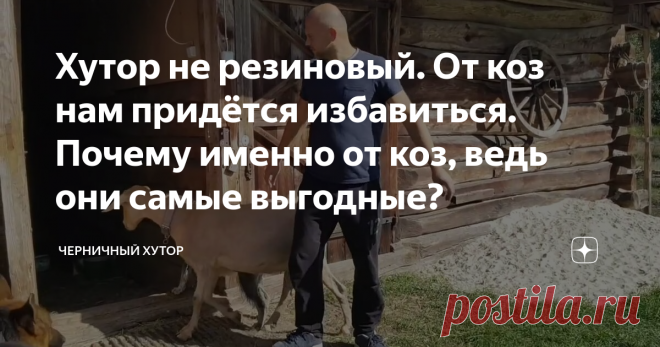 Хутор не резиновый. От коз нам придётся избавиться. Почему именно от коз, ведь они самые выгодные?