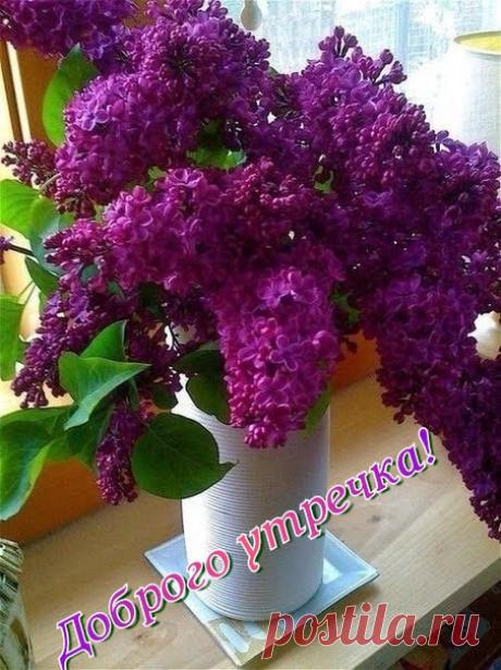 (15) Зина Таирова