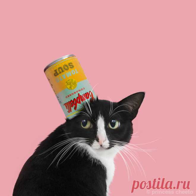 This Show Full of Cat Art Is an Instant Clawssic - VICE