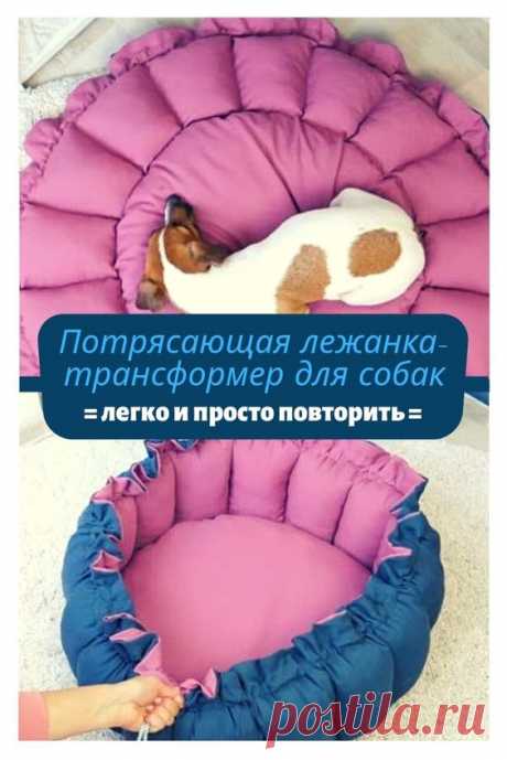 (135) Pinterest