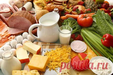 Продукты с большим содержанием белка, почему они важны, вред белковой пищи