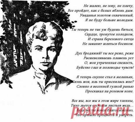 (99) Одноклассники